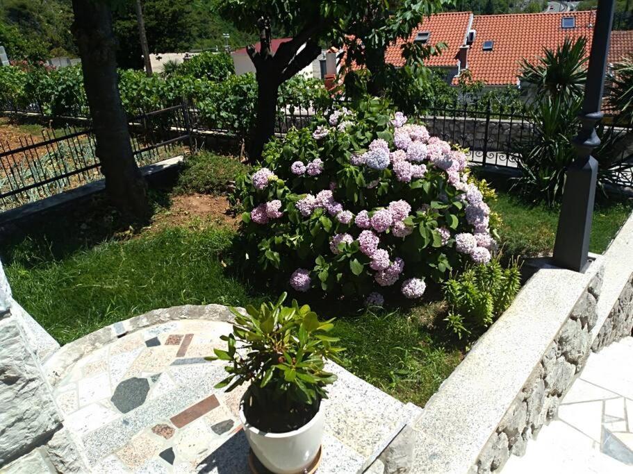 Apartment Mediterranean Garden 里耶卡 外观 照片