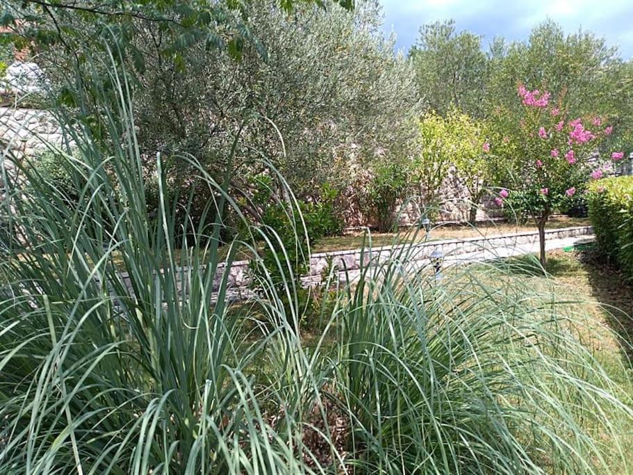 Apartment Mediterranean Garden 里耶卡 外观 照片