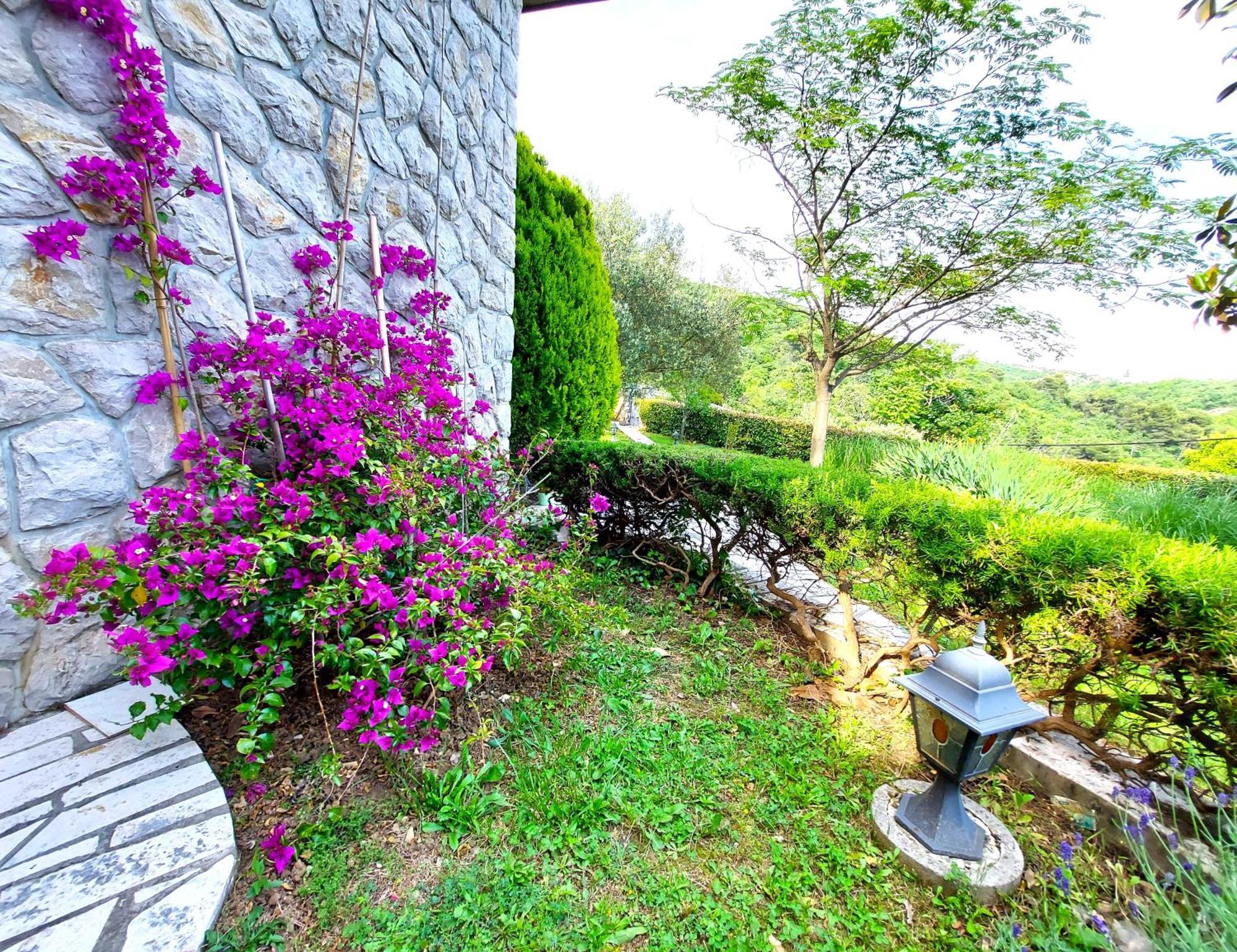 Apartment Mediterranean Garden 里耶卡 外观 照片